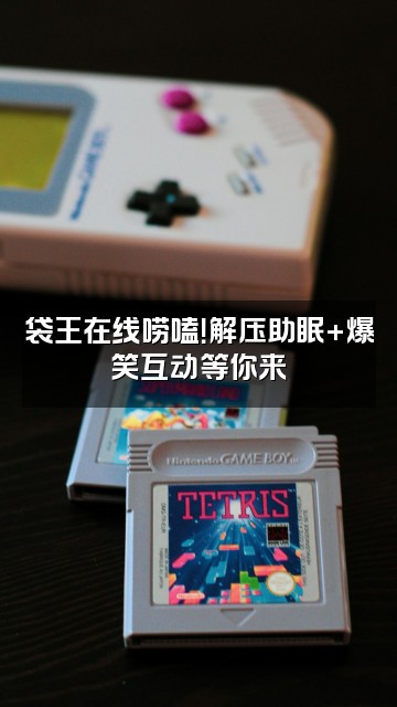 抖音钟山袋王(解压助眠)视频封面:袋王在线唠嗑!解压助眠+爆笑互动等你来